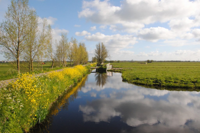 <i class='fa fa-user'></i>&nbsp;kooyammers&nbsp;|  Tiendweg bij Ouderkerk&nbsp; <i class='fa fa-eye'>&nbsp;88</i> &nbsp; <i class='fa fa-comment-o'>&nbsp;3</i>
