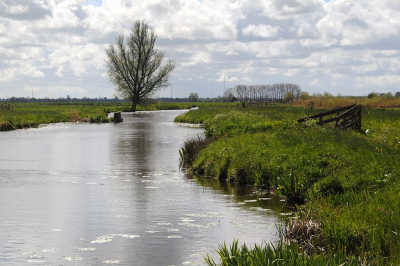 <i class='fa fa-user'></i>&nbsp;kooyammers&nbsp;|  Wetering Polder Den Hoek&nbsp; <i class='fa fa-eye'>&nbsp;77</i> &nbsp; <i class='fa fa-comment-o'>&nbsp;4</i>