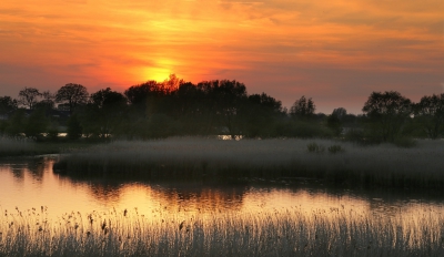 <i class='fa fa-user'></i>&nbsp;Ben Aalders&nbsp;|  Zonsondergang&nbsp; <i class='fa fa-eye'>&nbsp;110</i> &nbsp;<i class='fa fa-thumbs-up'>&nbsp;2</i> &nbsp; <i class='fa fa-comment-o'>&nbsp;5</i>