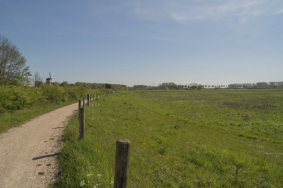 Vanmorgen bij de Zwaakse Weel ('s-Gravenpolder). Deze opname is gemaakt achter TOP (uienfabriek).