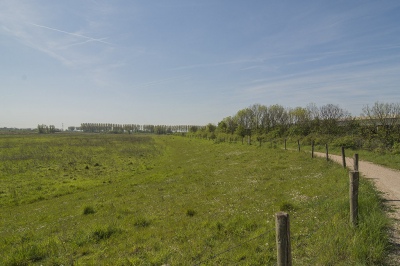 Vanmorgen bij de Zwaakse Weel ('s-Gravenpolder). Deze opname is gemaakt achter TOP (uienfabriek).