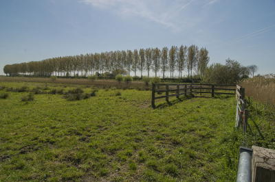 Vanmorgen bij de Zwaakse Weel ('s-Gravenpolder). Deze opname is gemaakt achter TOP (uienfabriek).