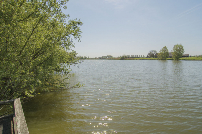 Vanmorgen bij de Zwaakse Weel ('s-Gravenpolder). Deze opname is gemaakt dichtbij Nisse.