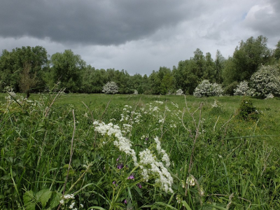 Vnadaag na tien dagen afwezigheid weer een fijne wandeling gemaakt door mijn favoriete natuurgebied . Het weer in Nederland is echt afkicken . Wat een kou. De natuur is er echter niet minder om.in tegendeel