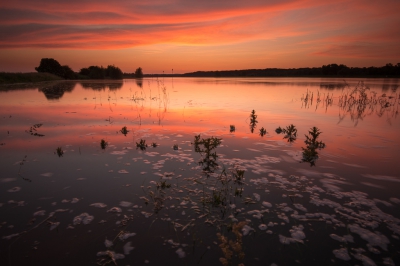 <i class='fa fa-user'></i>&nbsp;Bendiks Westerink&nbsp;|  Zomers water&nbsp; <i class='fa fa-eye'>&nbsp;163</i> &nbsp;<i class='fa fa-thumbs-up'>&nbsp;3</i> &nbsp; <i class='fa fa-comment-o'>&nbsp;4</i>