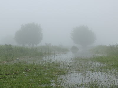 Tijdens een wandel tocht door de uiterwaarden nabij Sleeuwijk werd mij door het hoge water mij de weg verspert waar bij ik veel over mij zelf  , maar ook over de Fuji X30  heb geleerd. De AF raakte totaal van het padje . Ik gelukkig niet en kwam weer veilig thuis.