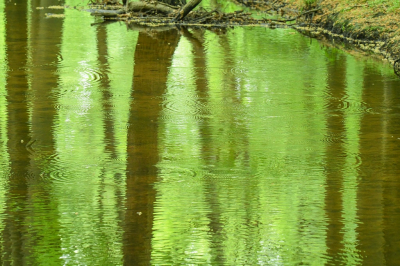 <i class='fa fa-user'></i>&nbsp;plaatjesmaker&nbsp;|  Regen in de Hierdense Beek&nbsp; <i class='fa fa-eye'>&nbsp;133</i> &nbsp; <i class='fa fa-comment-o'>&nbsp;3</i>