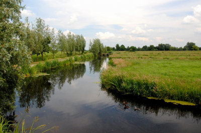 <i class='fa fa-user'></i>&nbsp;kooyammers&nbsp;|  Kadijk Oost&nbsp; <i class='fa fa-eye'>&nbsp;78</i> &nbsp; <i class='fa fa-comment-o'>&nbsp;0</i>