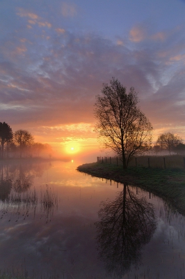<i class='fa fa-user'></i>&nbsp;Nel R&nbsp;|  Boom aan het water&nbsp; <i class='fa fa-eye'>&nbsp;263</i> &nbsp;<i class='fa fa-thumbs-up'>&nbsp;17</i> &nbsp; <i class='fa fa-comment-o'>&nbsp;16</i>