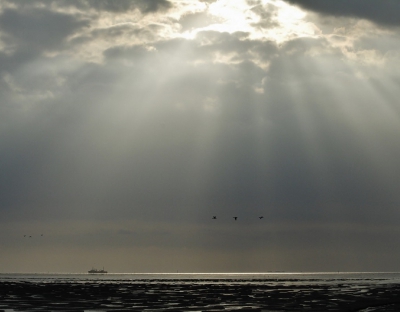 <i class='fa fa-user'></i>&nbsp;Fons Hoiting&nbsp;|  Zonnestralen op het wad&nbsp; <i class='fa fa-eye'>&nbsp;135</i> &nbsp; <i class='fa fa-comment-o'>&nbsp;7</i>