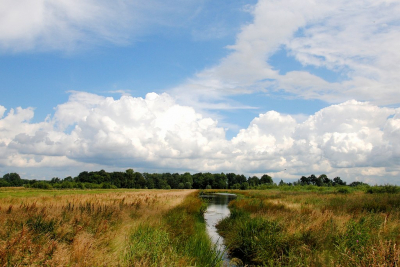 <i class='fa fa-user'></i>&nbsp;kooyammers&nbsp;|  Wolken boven Kwakels&nbsp; <i class='fa fa-eye'>&nbsp;63</i> &nbsp; <i class='fa fa-comment-o'>&nbsp;2</i>