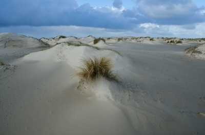 <i class='fa fa-user'></i>&nbsp;Eef Kieft&nbsp;|  Texel&nbsp; <i class='fa fa-eye'>&nbsp;155</i> &nbsp;<i class='fa fa-thumbs-up'>&nbsp;1</i> &nbsp; <i class='fa fa-comment-o'>&nbsp;5</i>