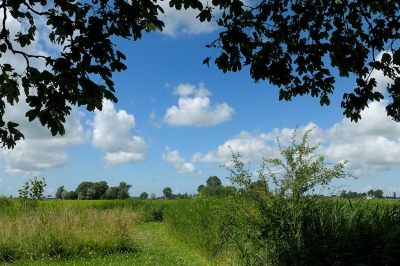 <i class='fa fa-user'></i>&nbsp;Hendrik van Kampen&nbsp;|  Zomer&nbsp; <i class='fa fa-eye'>&nbsp;138</i> &nbsp; <i class='fa fa-comment-o'>&nbsp;9</i>