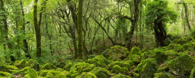 <i class='fa fa-user'></i>&nbsp;sluitertijd&nbsp;|  Bosco del Sasseto&nbsp; <i class='fa fa-eye'>&nbsp;123</i> &nbsp;<i class='fa fa-thumbs-up'>&nbsp;1</i> &nbsp; <i class='fa fa-comment-o'>&nbsp;6</i>