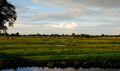 <i class='fa fa-user'></i>&nbsp;kooyammers&nbsp;|  Wolken boven Zuidbroek 2&nbsp; <i class='fa fa-eye'>&nbsp;69</i> &nbsp; <i class='fa fa-comment-o'>&nbsp;1</i>