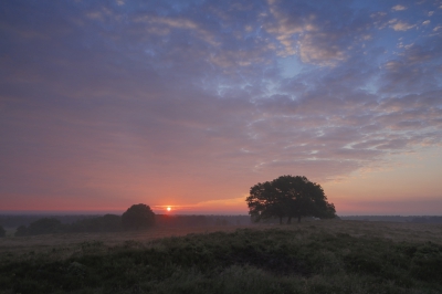 <i class='fa fa-user'></i>&nbsp;Mark van Veldhuizen&nbsp;|  Zonsopgang&nbsp; <i class='fa fa-eye'>&nbsp;148</i> &nbsp;<i class='fa fa-thumbs-up'>&nbsp;4</i> &nbsp; <i class='fa fa-comment-o'>&nbsp;6</i>