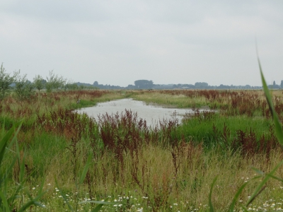 <i class='fa fa-user'></i>&nbsp;Gert-Jan&nbsp;|  Sleeuwijk&nbsp; <i class='fa fa-eye'>&nbsp;66</i> &nbsp; <i class='fa fa-comment-o'>&nbsp;2</i>