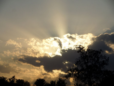 Tijdens de zomerdagen mooi uitzicht op de ondergaande zon. De zon zakt als het ware tussen de bomen weg.