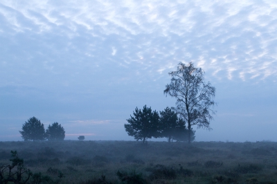 <i class='fa fa-user'></i>&nbsp;nelappelmelk&nbsp;|  Vroege morgen&nbsp; <i class='fa fa-eye'>&nbsp;121</i> &nbsp; <i class='fa fa-comment-o'>&nbsp;5</i>