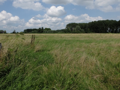 <i class='fa fa-user'></i>&nbsp;Gert-Jan&nbsp;|  Land van Heusden en Altena&nbsp; <i class='fa fa-eye'>&nbsp;80</i> &nbsp; <i class='fa fa-comment-o'>&nbsp;2</i>