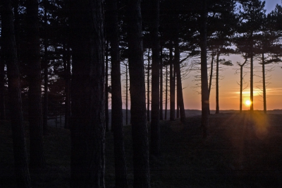 <i class='fa fa-user'></i>&nbsp;Eef Kieft&nbsp;|  Zonsondergang in de duinen&nbsp; <i class='fa fa-eye'>&nbsp;111</i> &nbsp; <i class='fa fa-comment-o'>&nbsp;0</i>