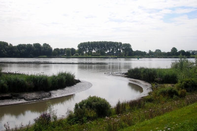 <i class='fa fa-user'></i>&nbsp;kooyammers&nbsp;|  De Lek bij Schoonhoven&nbsp; <i class='fa fa-eye'>&nbsp;100</i> &nbsp; <i class='fa fa-comment-o'>&nbsp;0</i>