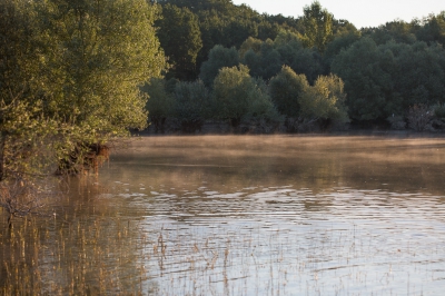 <i class='fa fa-user'></i>&nbsp;Tom van der Most&nbsp;|  Waterstand&nbsp; <i class='fa fa-eye'>&nbsp;97</i> &nbsp; <i class='fa fa-comment-o'>&nbsp;3</i>