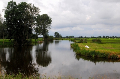 <i class='fa fa-user'></i>&nbsp;kooyammers&nbsp;|  Vaart bij Zuidbroek&nbsp; <i class='fa fa-eye'>&nbsp;86</i> &nbsp; <i class='fa fa-comment-o'>&nbsp;1</i>