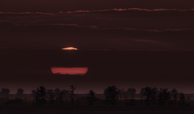 <i class='fa fa-user'></i>&nbsp;plaatjesmaker&nbsp;|  Zonsondergang op de Oostvaardersplassen&nbsp; <i class='fa fa-eye'>&nbsp;182</i> &nbsp;<i class='fa fa-thumbs-up'>&nbsp;5</i> &nbsp; <i class='fa fa-comment-o'>&nbsp;13</i>