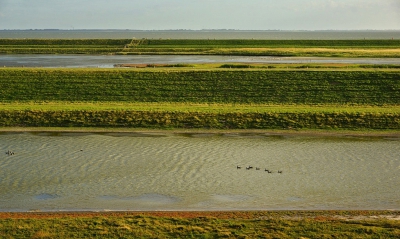 <i class='fa fa-user'></i>&nbsp;Nel R&nbsp;|  Land en water&nbsp; <i class='fa fa-eye'>&nbsp;108</i> &nbsp; <i class='fa fa-comment-o'>&nbsp;7</i>