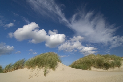 Duinen Terschelling
