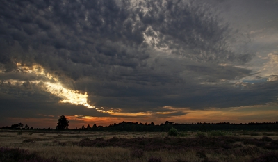 Vlak voor zonsondergang,met genoeg bewolking, om zo een dreigend licht te geven ,waaruit een half uur later een flinke plensbui viel.