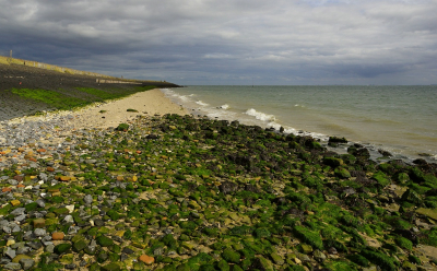 <i class='fa fa-user'></i>&nbsp;Nel R&nbsp;|  Langs de Oosterschelde&nbsp; <i class='fa fa-eye'>&nbsp;88</i> &nbsp;<i class='fa fa-thumbs-up'>&nbsp;1</i> &nbsp; <i class='fa fa-comment-o'>&nbsp;4</i>