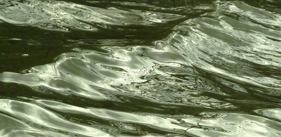 <i class='fa fa-user'></i>&nbsp;B.M.Schouten-Ruis&nbsp;|  Weerspiegeling&nbsp; <i class='fa fa-eye'>&nbsp;95</i> &nbsp; <i class='fa fa-comment-o'>&nbsp;4</i>