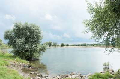 <i class='fa fa-user'></i>&nbsp;Wil Doorn-Meijne&nbsp;|  Ijssel bij Deventer&nbsp; <i class='fa fa-eye'>&nbsp;104</i> &nbsp; <i class='fa fa-comment-o'>&nbsp;2</i>
