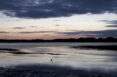 Ondergaande zon met vissende reiger