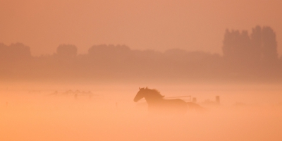 <i class='fa fa-user'></i>&nbsp;Peter Teune&nbsp;|  Zonsopkomst in de Arkemheen&nbsp; <i class='fa fa-eye'>&nbsp;215</i> &nbsp;<i class='fa fa-thumbs-up'>&nbsp;8</i> &nbsp; <i class='fa fa-comment-o'>&nbsp;7</i>