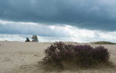 <i class='fa fa-user'></i>&nbsp;Bert Veerman&nbsp;|  Onrustig weer&nbsp; <i class='fa fa-eye'>&nbsp;82</i> &nbsp; <i class='fa fa-comment-o'>&nbsp;0</i>