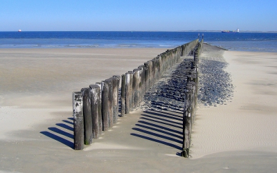 <i class='fa fa-user'></i>&nbsp;groenvogel57&nbsp;|  Strandstaketsel&nbsp; <i class='fa fa-eye'>&nbsp;201</i> &nbsp;<i class='fa fa-thumbs-up'>&nbsp;1</i> &nbsp; <i class='fa fa-comment-o'>&nbsp;5</i>