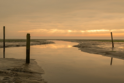 's Morgens vroeg op pad gegaan om zonsopkomst te fotograferen.
Moeite werd beloond met een mooie zonsopkomst.