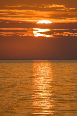 <i class='fa fa-user'></i>&nbsp;Peter Soer&nbsp;|  Zonsondergang&nbsp; <i class='fa fa-eye'>&nbsp;118</i> &nbsp;<i class='fa fa-thumbs-up'>&nbsp;2</i> &nbsp; <i class='fa fa-comment-o'>&nbsp;2</i>