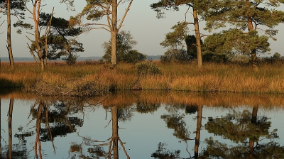 <i class='fa fa-user'></i>&nbsp;frbeuming&nbsp;|  Landschap&nbsp; <i class='fa fa-eye'>&nbsp;102</i> &nbsp; <i class='fa fa-comment-o'>&nbsp;3</i>
