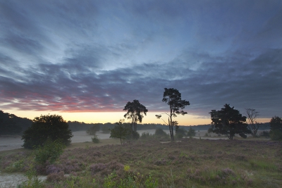 <i class='fa fa-user'></i>&nbsp;Ron van Elst&nbsp;|  Lange duinen&nbsp; <i class='fa fa-eye'>&nbsp;125</i> &nbsp; <i class='fa fa-comment-o'>&nbsp;2</i>