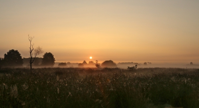<i class='fa fa-user'></i>&nbsp;Ben Aalders&nbsp;|  Vroeg op de Dwingelderheide&nbsp; <i class='fa fa-eye'>&nbsp;152</i> &nbsp;<i class='fa fa-thumbs-up'>&nbsp;5</i> &nbsp; <i class='fa fa-comment-o'>&nbsp;5</i>