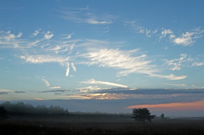 <i class='fa fa-user'></i>&nbsp;nelappelmelk&nbsp;|  Wolkenplukjes&nbsp; <i class='fa fa-eye'>&nbsp;128</i> &nbsp; <i class='fa fa-comment-o'>&nbsp;7</i>