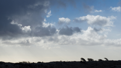 <i class='fa fa-user'></i>&nbsp;Eef Kieft&nbsp;|  Duinlandschap&nbsp; <i class='fa fa-eye'>&nbsp;104</i> &nbsp; <i class='fa fa-comment-o'>&nbsp;2</i>