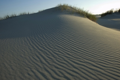 <i class='fa fa-user'></i>&nbsp;Eef Kieft&nbsp;|  Ribbels in het zand&nbsp; <i class='fa fa-eye'>&nbsp;100</i> &nbsp; <i class='fa fa-comment-o'>&nbsp;3</i>