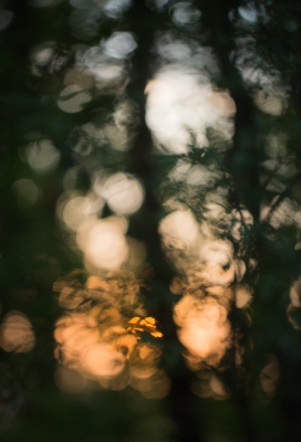 <i class='fa fa-user'></i>&nbsp;Tom van der Most&nbsp;|  Lichtspel&nbsp; <i class='fa fa-eye'>&nbsp;172</i> &nbsp;<i class='fa fa-thumbs-up'>&nbsp;4</i> &nbsp; <i class='fa fa-comment-o'>&nbsp;8</i>
