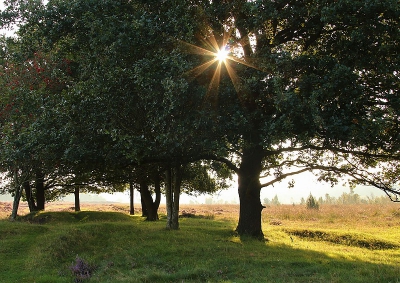 <i class='fa fa-user'></i>&nbsp;frbeuming&nbsp;|  Zonsopgang&nbsp; <i class='fa fa-eye'>&nbsp;91</i> &nbsp; <i class='fa fa-comment-o'>&nbsp;2</i>