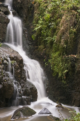 <i class='fa fa-user'></i>&nbsp;Ties Niehof&nbsp;|  Petit cascade&nbsp; <i class='fa fa-eye'>&nbsp;94</i> &nbsp; <i class='fa fa-comment-o'>&nbsp;3</i>